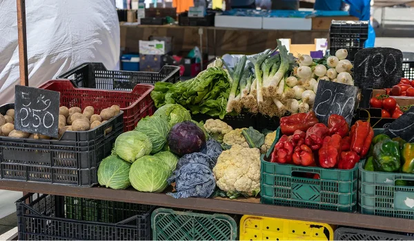 Oświetlenie specjalistyczne owoce warzywa