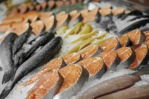 oświetlenie na stoisko ryby